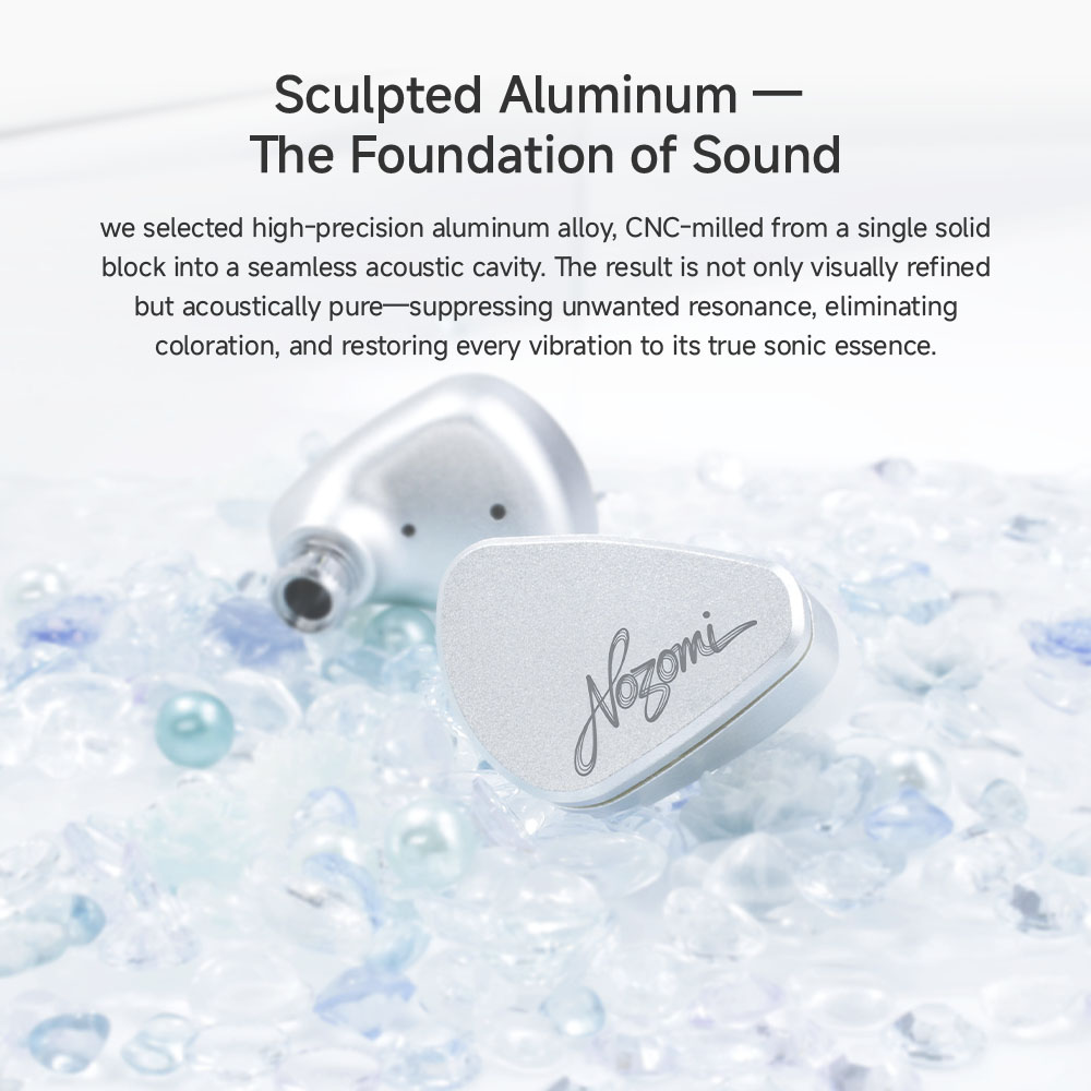 CVJ NOZOMI In-Ear Earphones 2D - Board Game Video Games 评论和价格