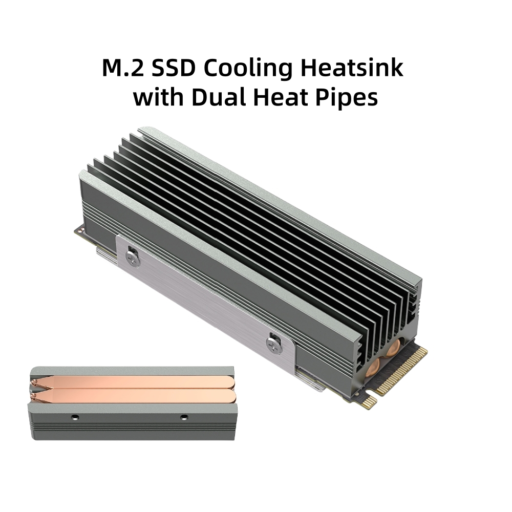 Dual Copper Heat Pipe M.2 SSD  - Board Game Heat 评论和价格