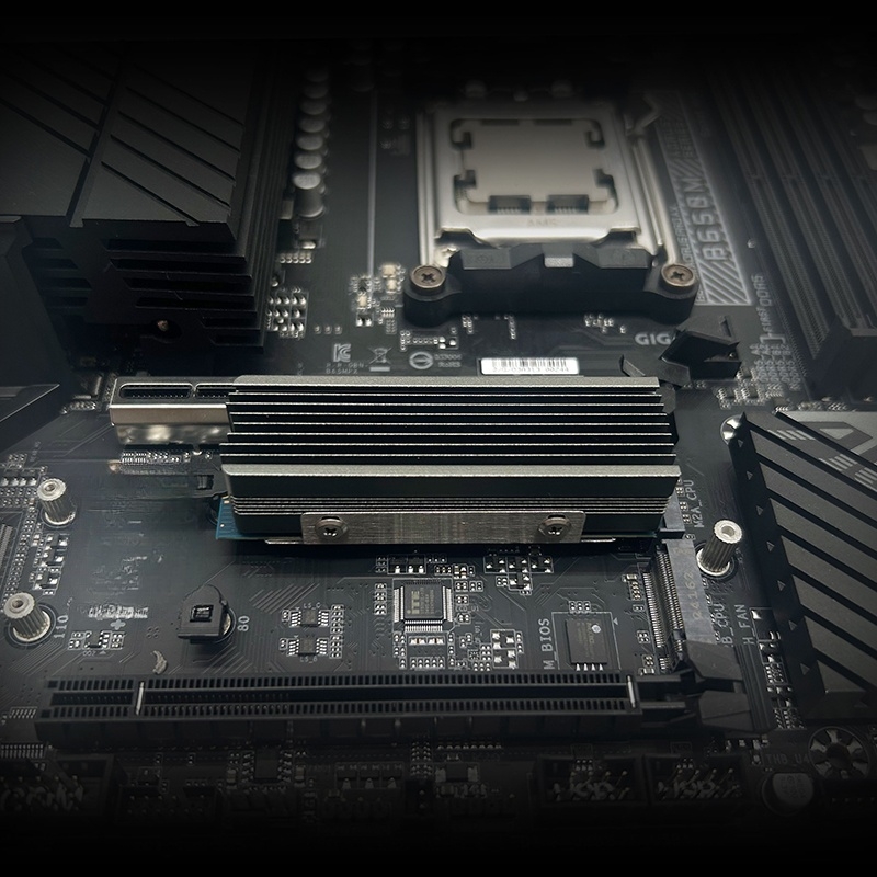 Dual Copper Heat Pipe M.2 SSD  - Board Game Heat 评论和价格