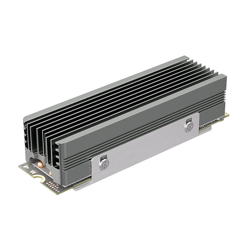 Dual Copper Heat Pipe M.2 SSD  - Board Game Heat 评论和价格